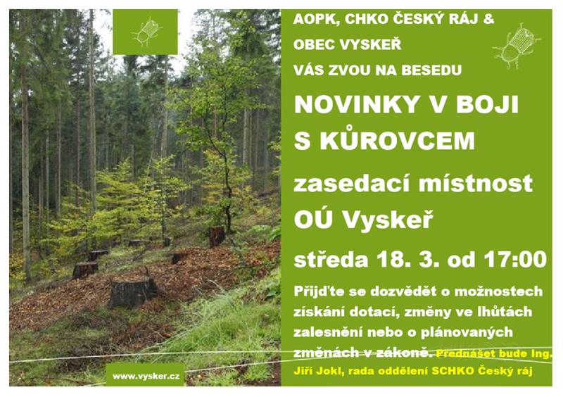 Beseda - kůrovec