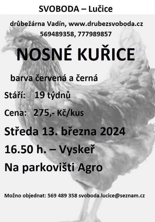 Slepice 16032024