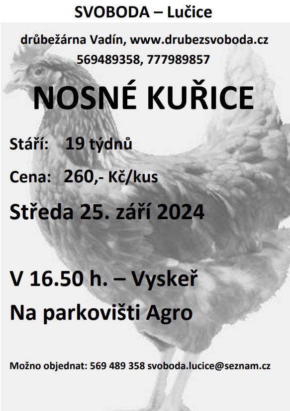 Svoboda-25092024