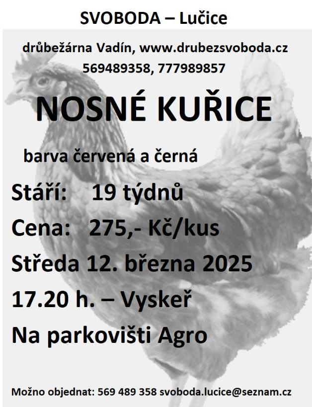 Prodej kuřic_12032025