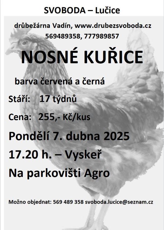 Kurice_07042025
