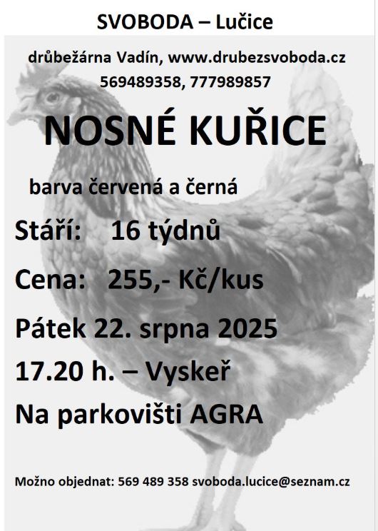 Svoboda_22082025