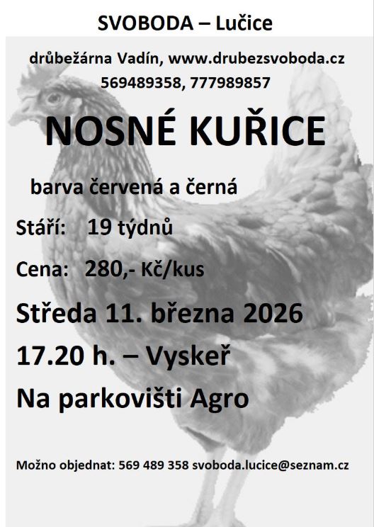 Kurice_11032026