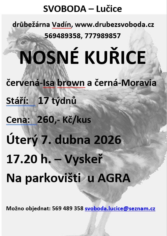 Kurice_07042026
